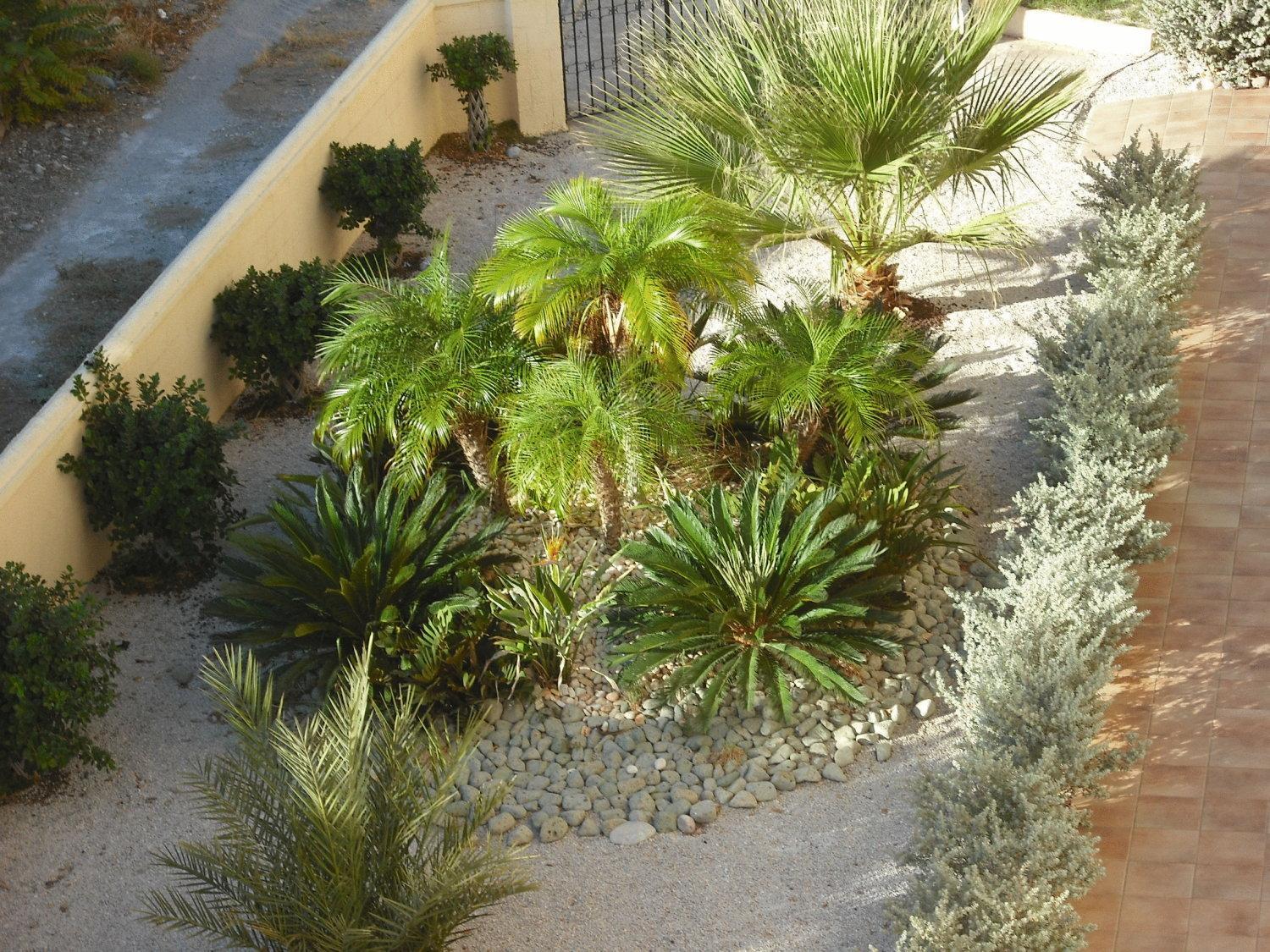 Summer Memories Hotel Apartments Pefki Exterior foto